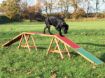 Kladina TRIXIE Dog Activity Agility 456 x 64 x 30 cm 