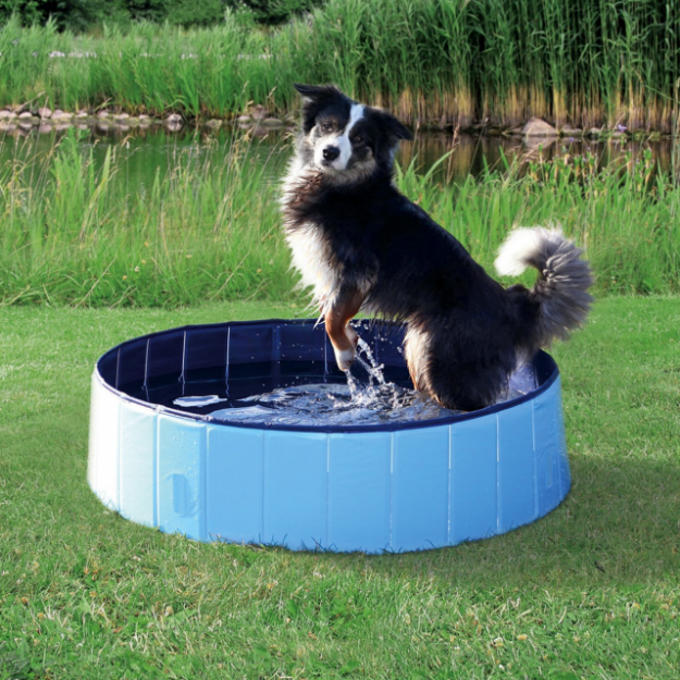 Bazén TRIXIE pro psy svetle modrý 160 cm 